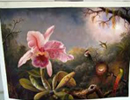 Flower Oil Paintings